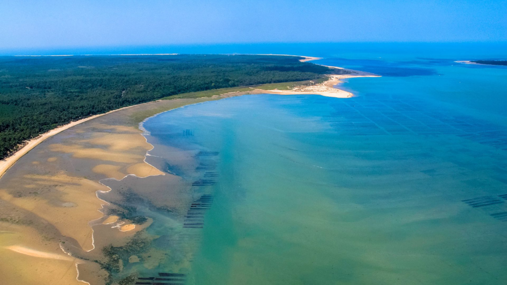 Office Du Tourisme destination Royan Atlantique